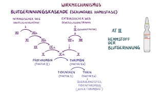 Medikamente im Rettungsdienst  Heparin [upl. by Boeke]