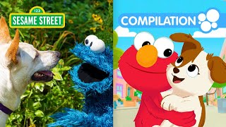 Sesame Street Elmos Pets Compilation  90 Minutes [upl. by Lepley426]