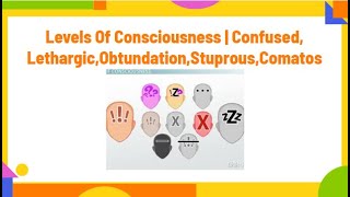 levels of consciousness  confusedlethargicobduntationstuprouscomatosPhysiotherapyKnowledge [upl. by Head]