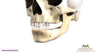 Teeth Eruption Pattern from Primary to Permanent Dentition [upl. by Aled]