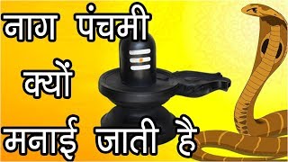 नाग पंचमी क्यों मनाई जाती है Story Of Naag Panchmi Why do we celebrate Nag Panchami Hindu Rituals [upl. by Koser]