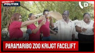 🚀 De Nieuwe Politiek Live Overdracht facelift Paramaribo Zoo Suriname [upl. by Enilorac16]