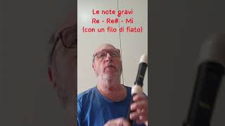 FLAUTO TENORE  suonare le note gravi Re  Re  Mi [upl. by Chappelka540]