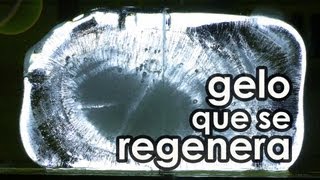 O gelo que se regenera EXPERIÊNCIA [upl. by Elodie]