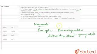 Identify the correct pair of statements I Pericycle is parenchymatous in dicot root [upl. by Anoid]