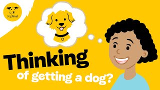 Thinking of rehoming a dog  Dogs Trust [upl. by Pickering305]