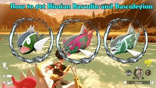 How to get Hisuian Basculin and how to evolve Basculin Basculegion  Pokémon Legends Arceus [upl. by Huston]