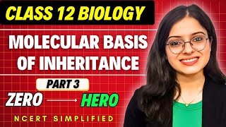 Molecular Basis of Inheritance Part 3  Class 12 Biology Chapter 5  Board Exam 2025 amp NEET 2025 [upl. by Tedmund644]