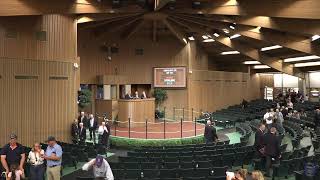 Keeneland Live Feed [upl. by Idihsar183]