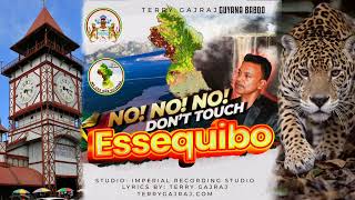 No No No Dont Touch ESSEQUIBO AfroBeat by Terry Gajraj Guyana Baboo [upl. by Tertias]