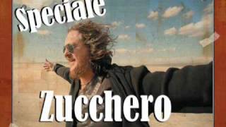 Speciale Zucchero Sugar Fornaciari  All The Best [upl. by Judsen]