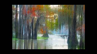 2024 Caddo Lake 16MG 2 HD 1080p [upl. by Brodench115]