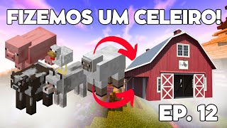 EP 12 AGORA NOSSA VILA TEM UM CELEIRO [upl. by Aivekahs]