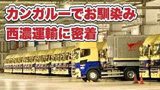 トレーラー見たくてカンガルーの西濃運輸密着してみた [upl. by Pokorny]