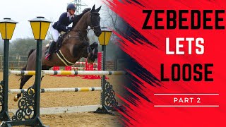 ZEBEDEE LETS LOOSE  OLD BOY GOES SHOWJUMPING AND DRESSAGE AT CHERWELL PART 2  VLOG 133 [upl. by Manwell]