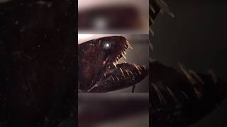 Deep Sea Dragonfish😲😲 facts knowlegeispower subscribe FactsSpoonFed [upl. by Ahsiadal]