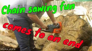 Chainsawing fun season wrap up [upl. by Larkins644]