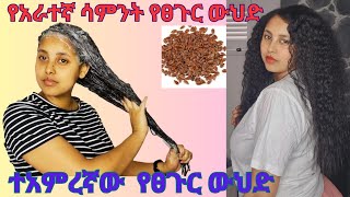 4ኛ ሳምንት 🤗 ይሄን የፀጉር ውህድ የግድ መጠቀም አለብሽ Best hair mask You must use this amazing hair mask [upl. by Samira]