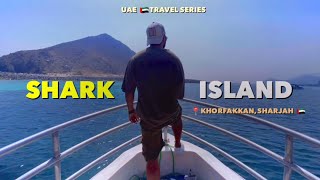 Shark island Khorfakkan Sharjah 🇦🇪  Mini Maldives in the UAE 🇦🇪 [upl. by Htebaile]