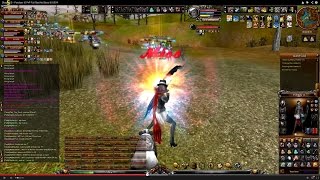 Shaiya OS  Proelium 15 PvP Full Raid No Bless [upl. by Simonne125]