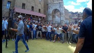 Istrice  Palio di Siena Tratta cavalli Agosto 2017 [upl. by Illek]