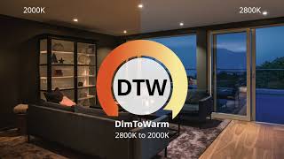 DimToWarm Deutsche [upl. by Enavi794]