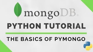 Python MongoDB Tutorial using PyMongo [upl. by Carnay]