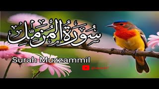 Surah Muzammil Full By mubaligh dawateislami With translation HD [upl. by Frederik12]