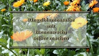 Ringelblumensalbe mit Bienenwachs selber machen [upl. by Eldredge]