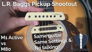 LR Baggs Pickup Shootout M1 Active vs M80 [upl. by Mcallister265]