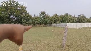 OPEN PLOTS FOR SALE  GOPAN PALLY  VATINAGULA PALLY [upl. by Brenner]