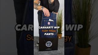 The BEST Carhart WIP Double Knee SPECIAL Pants 😮 Nash [upl. by Grinnell]