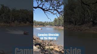 Getting ready for the Southern 80 Ski Race in Victoria Camping on the Murray River speedboat race [upl. by Nalahs838]