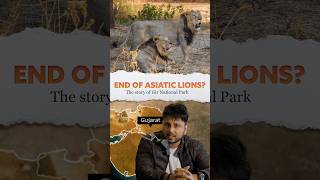 🤔Why Asiatic Lions 🦁live only in Gujarat 🤔 Gir National Park [upl. by Drawyeh764]