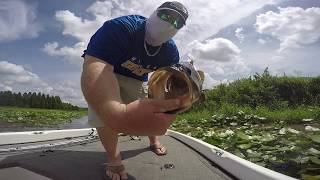 Slayin them at Thonotosassa again  18lb bag  Kid takes swim [upl. by Ovid]