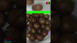 Macadamia Nuts😋 Please subscribe My Channel🥰youtubeshorts food [upl. by Amis57]