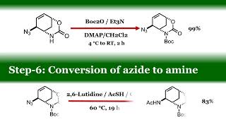 Oseltamivir Brand name TAMIFLU  Total Asymmetric Synthesis [upl. by Ready]