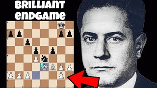 Brilliant Endgame By Capablaca  Capablanca  Corzo 1901 [upl. by Eidnak]