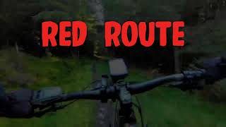 Red Route  Kielder Deadwater Trails [upl. by Ardna73]