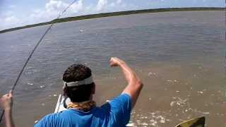 Redfish on just a jig head [upl. by Ordway]