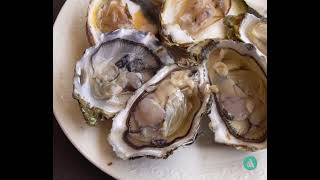 Shellfish Poisoning Symptoms and Treatment [upl. by Orhtej]