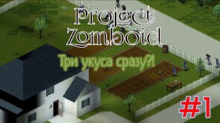 Выживание в PROJECT ZOMBOID 1 [upl. by Ferrand286]