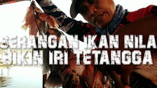 PASTI BIKIN IRI TETANGGA [upl. by Yellas]