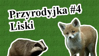 Przyrodyjka 4 Liski [upl. by Dewie]