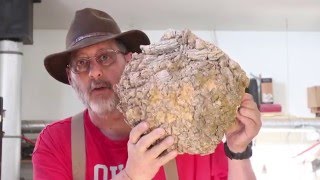 Coring Two Burl Bowls woodturning with Sam Angelo [upl. by Janifer]