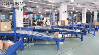 One DWS sorting line  Dynamic DWS amp 7shutts Sorter  DWS7 balance wheels 15 outlets [upl. by Porter]