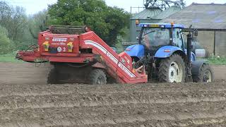 NEW HOLLAND T6080 AND GRIMME COMBI STAR [upl. by Elleb]