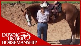 Clinton Anderson More Horse Than Handle Part 2  Downunder Horsemanship [upl. by Yarb]