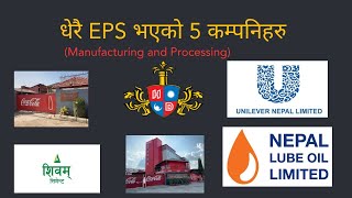 Top 5 Companies in Nepal  Having More EPS  Manufacturing and Processing  Nepse Daily Update [upl. by Kisung801]