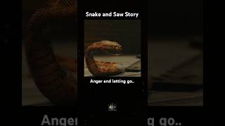 A powerful story of ANGER and LETTING GO snakesaw [upl. by Einafpets]